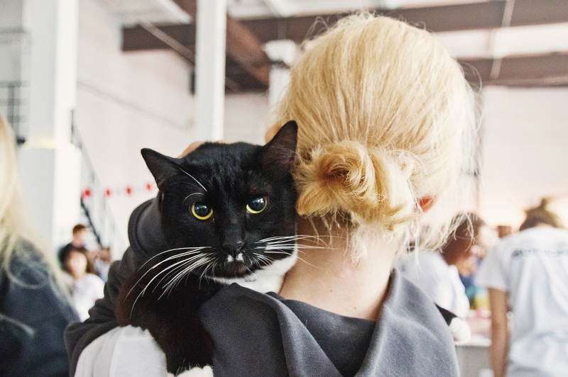 1. Без подписи